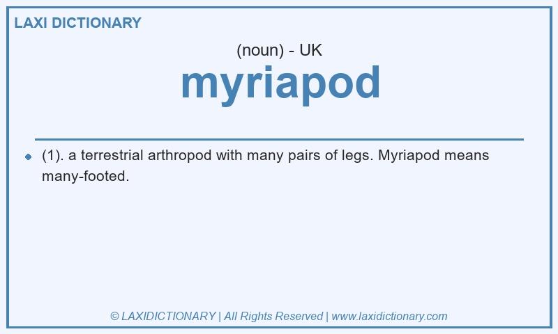Definition myriapod in British English