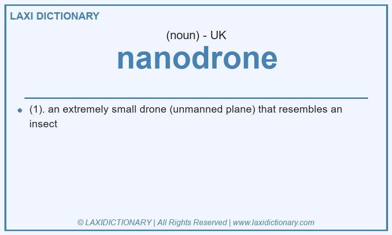 Definition nanodrone in British English