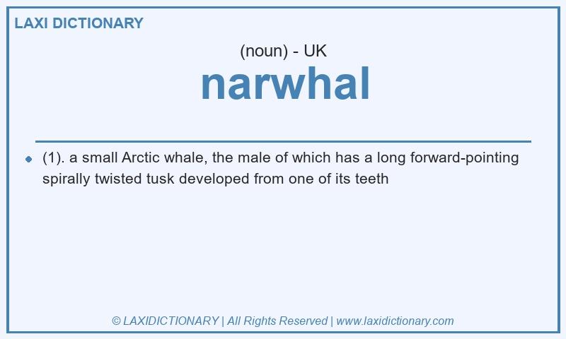 Definition narwhal in British English