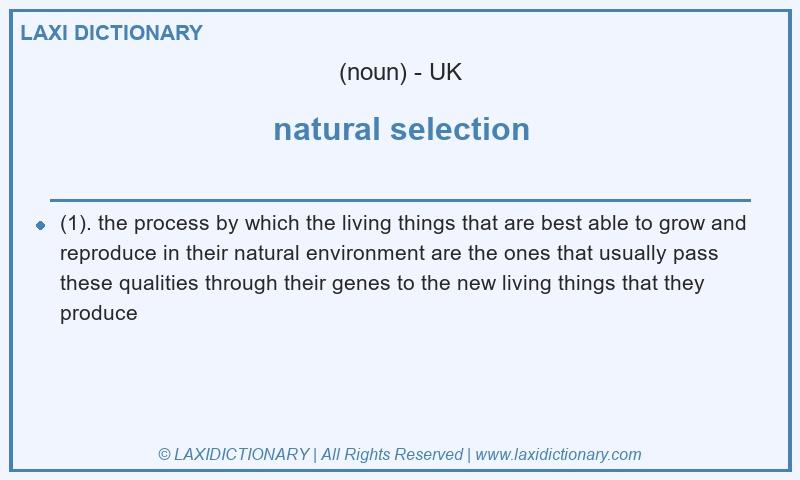 Definition natural selection in British English