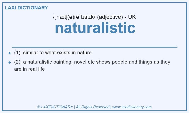 Definition naturalistic in British English