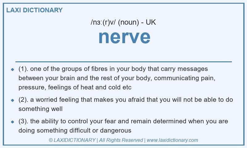 Definition nerve in British English