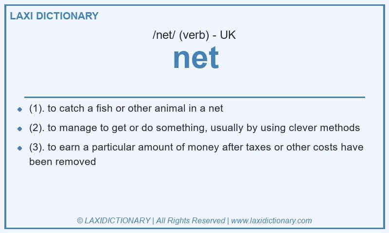 Definition net in British English