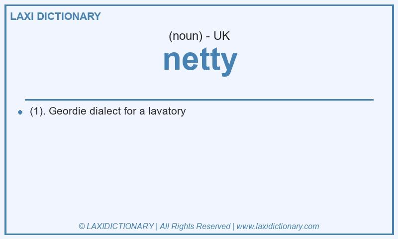 Definition netty in British English
