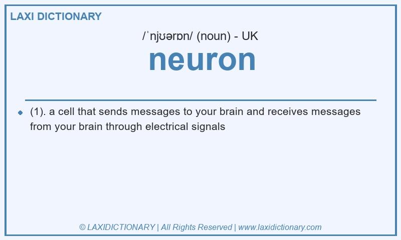 Definition neuron in British English