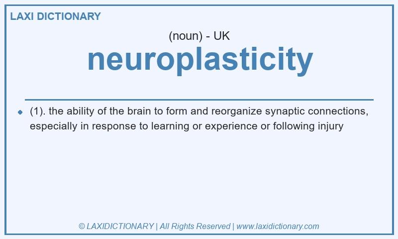 Definition neuroplasticity in British English