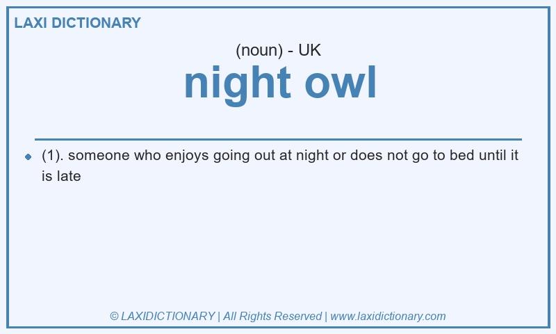 Definition night owl in British English