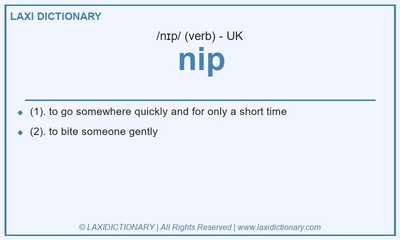 Definition nip in British English