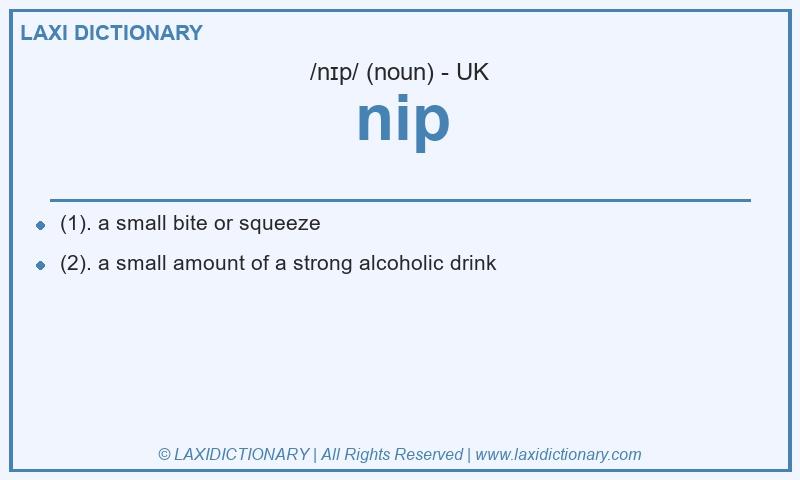 Definition nip in British English