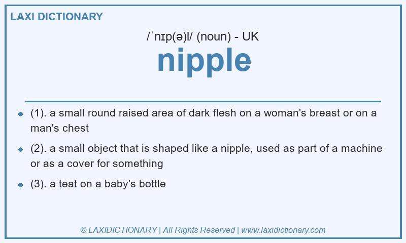 Definition nipple in British English