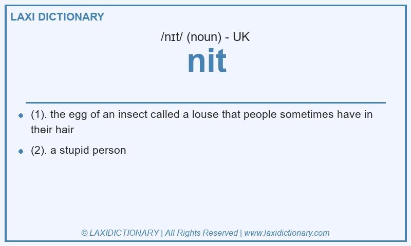 Definition nit in British English