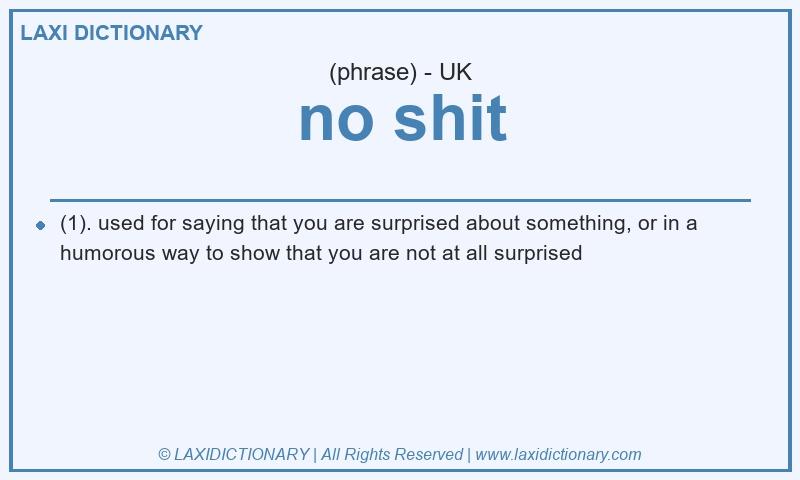 Definition no shit in British English