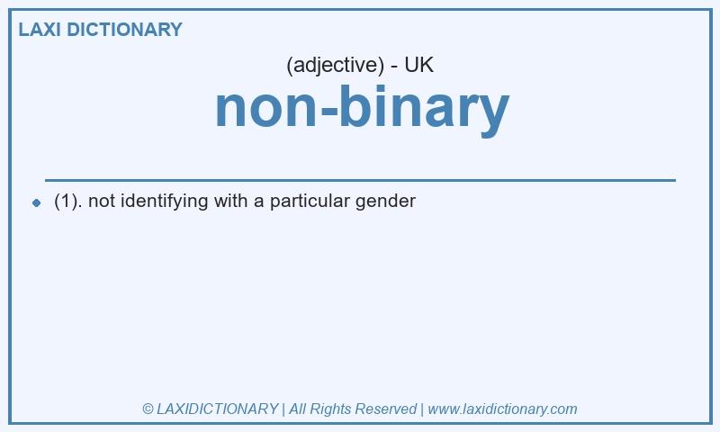 Definition non-binary in British English
