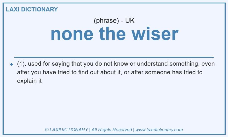 Definition none the wiser in British English