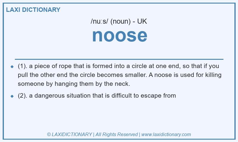 Definition noose in British English