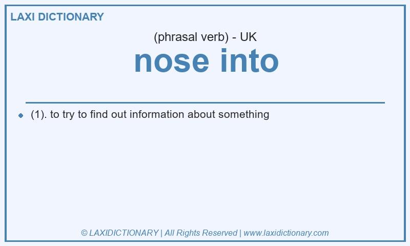 Definition nose into in British English