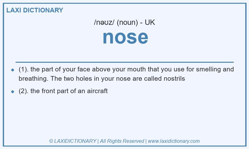 Definition nose in British English