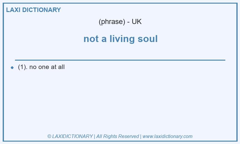 Definition not a living soul in British English