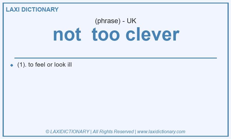 Definition not too clever in British English