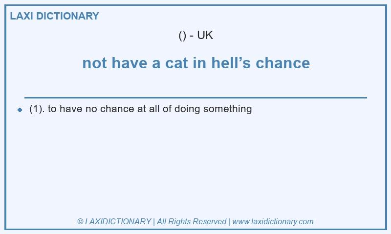 Definition not have a cat in hell’s chance in British English