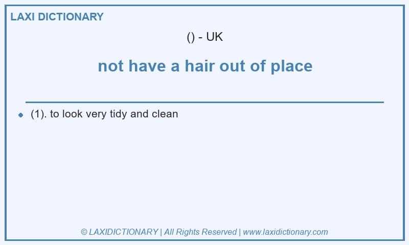 Definition not have a hair out of place in British English