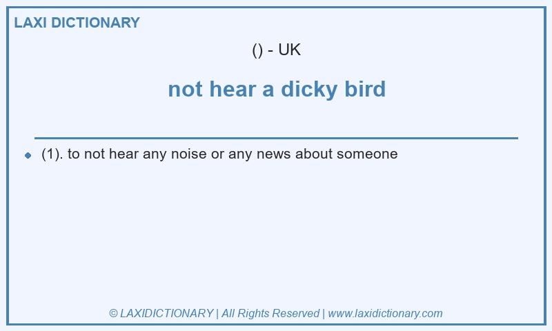 Definition not hear a dicky bird in British English