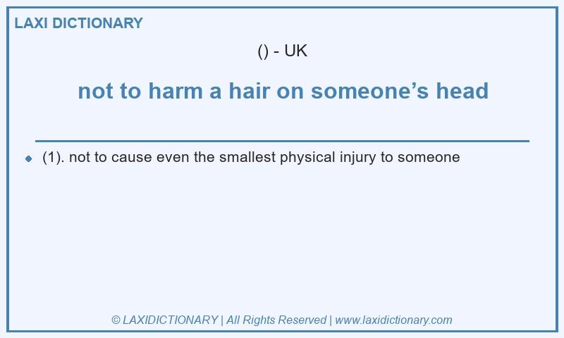 Definition not to harm a hair on someone’s head in British English