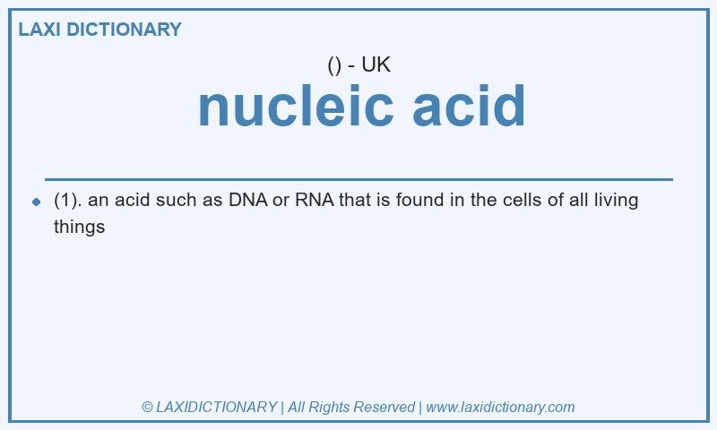 Definition nucleic acid in British English