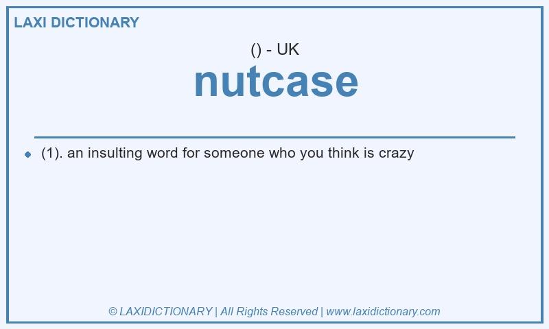 Definition nutcase in British English