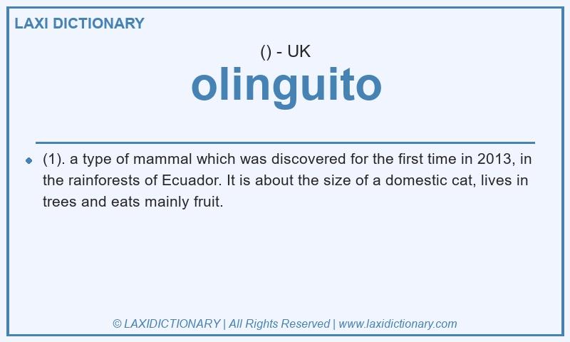 Definition olinguito in British English