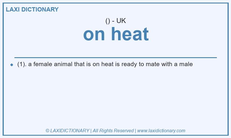 Definition on heat in British English