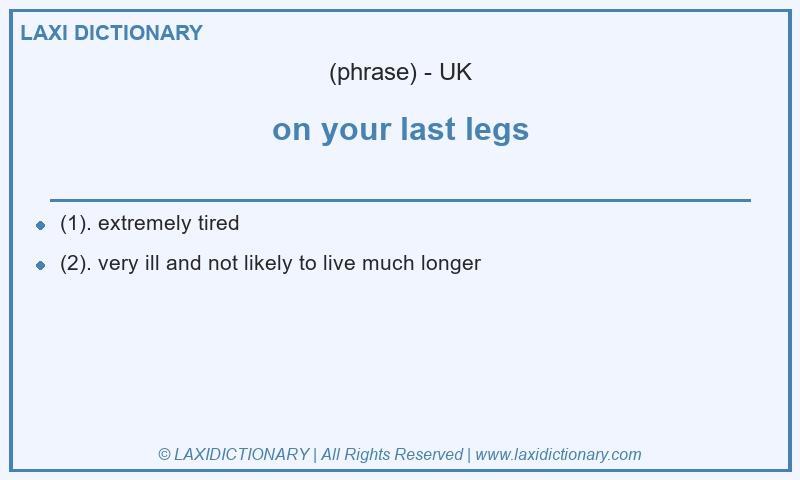 Definition on your last legs in British English