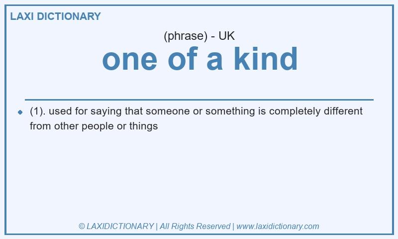 Definition one of a kind in British English