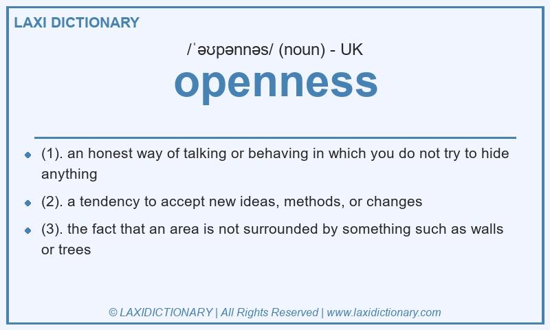 Definition openness in British English