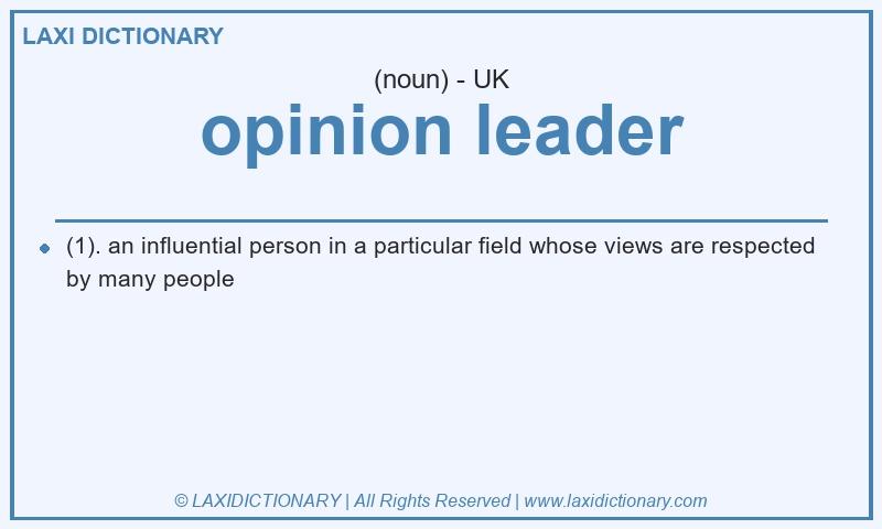 Definition opinion leader in British English