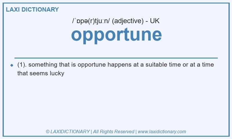 Definition opportune in British English