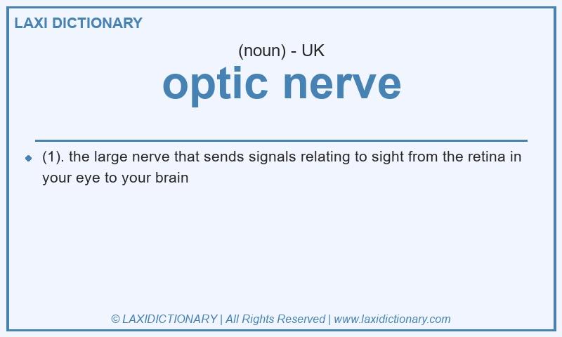 Definition optic nerve in British English