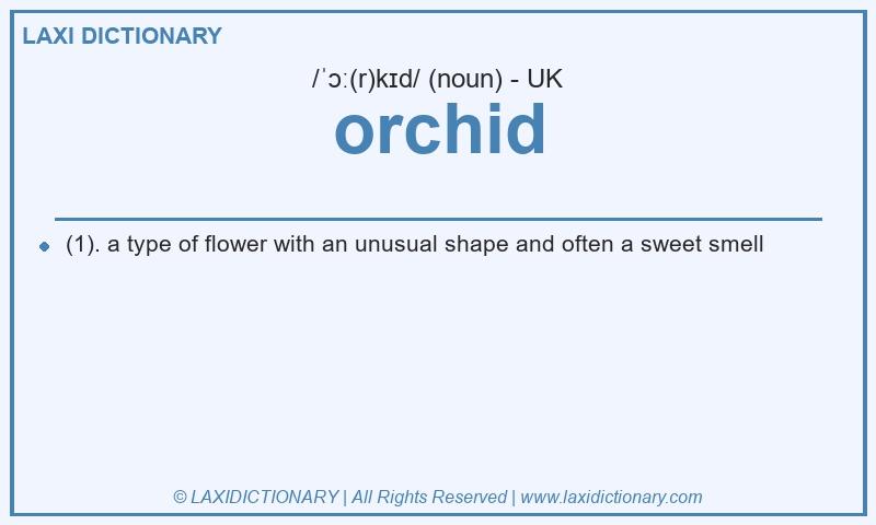 Definition orchid in British English