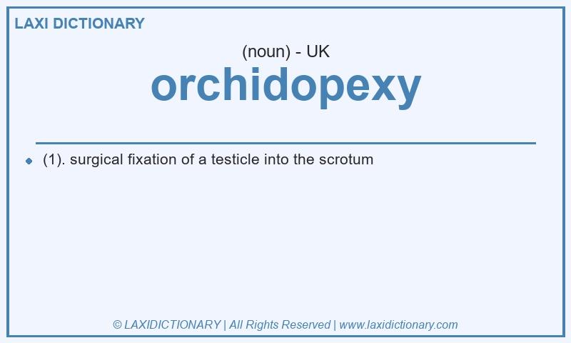 Definition orchidopexy in British English