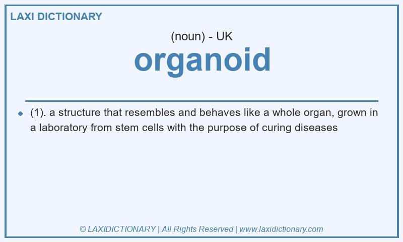 Definition organoid in British English