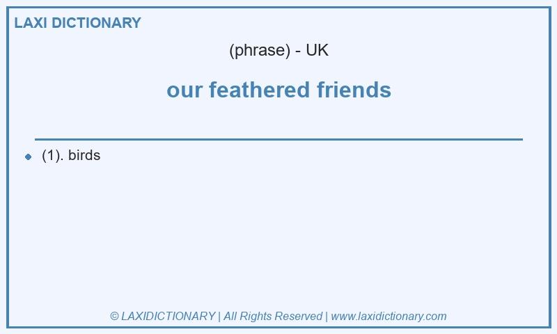 Definition our feathered friends in British English