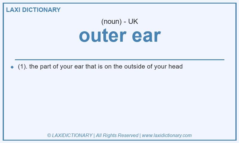 Definition outer ear in British English