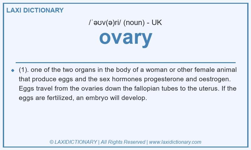Definition ovary in British English