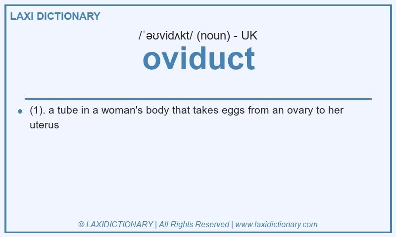 Definition oviduct in British English