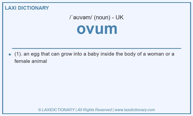 Definition ovum in British English