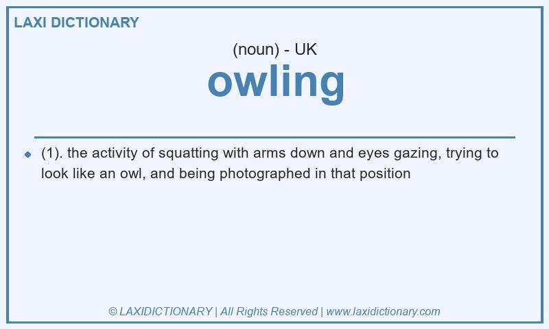 Definition owling in British English