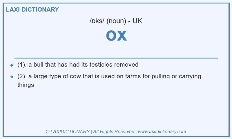 Definition ox in British English