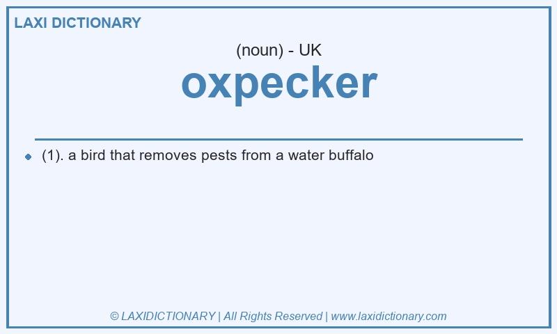 Definition oxpecker in British English