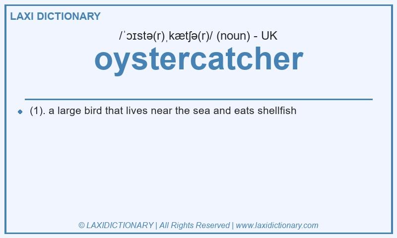 Definition oystercatcher in British English