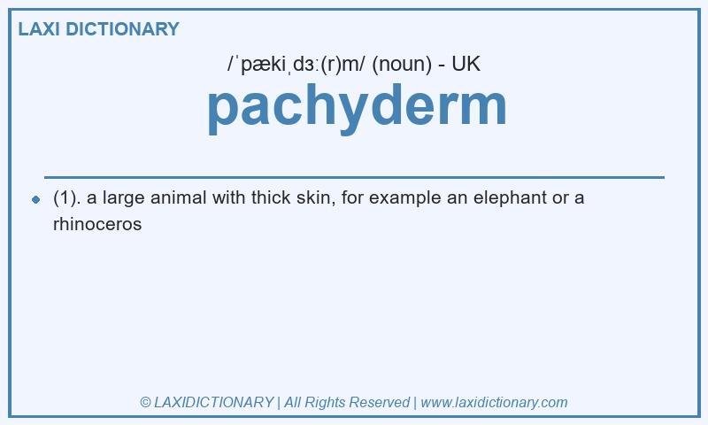 Definition pachyderm in British English